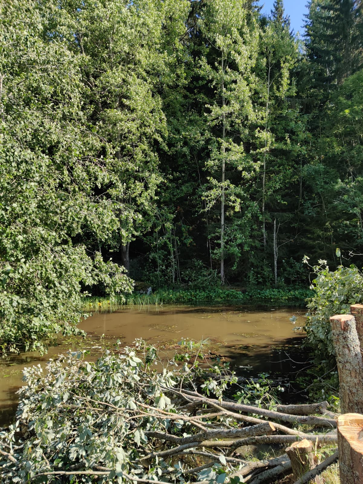 Huoltotyö rakennuksen ympärillä Uudellamaalla